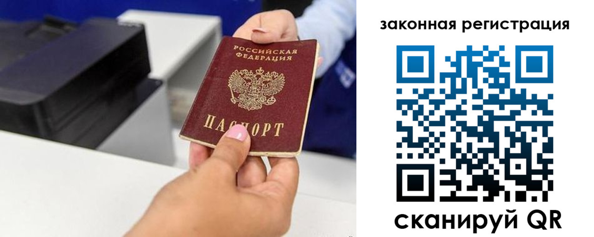 прописка для школы в Щиграх